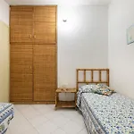 Nyaraló Simius *